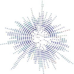 lanl_routes