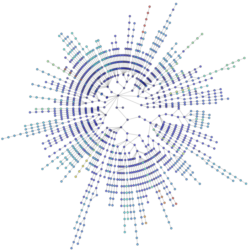 lanl_routes