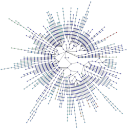 lanl_routes