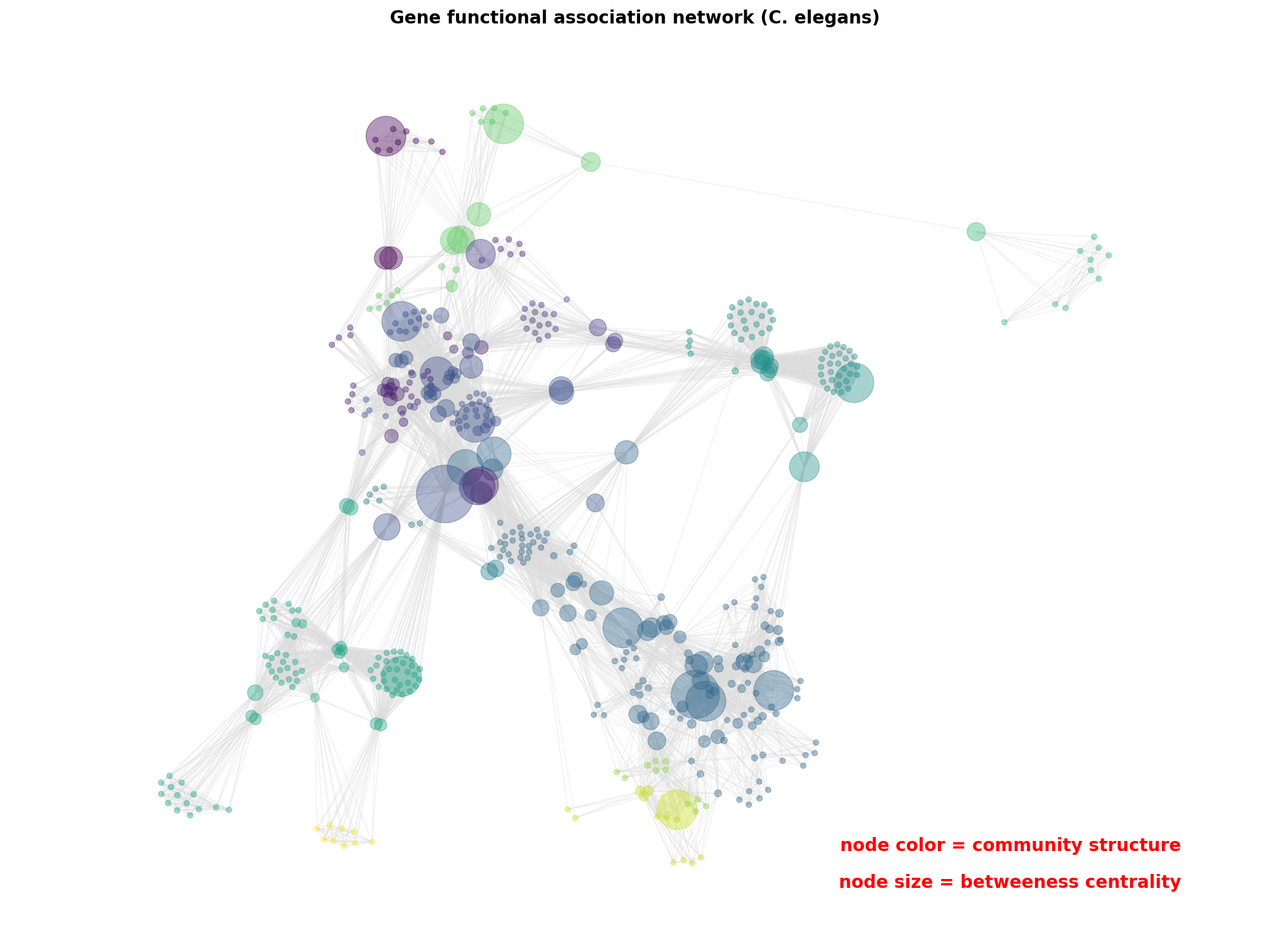 Gene functional association network (C. elegans)