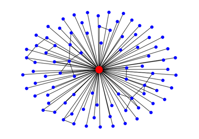 Ego Graph