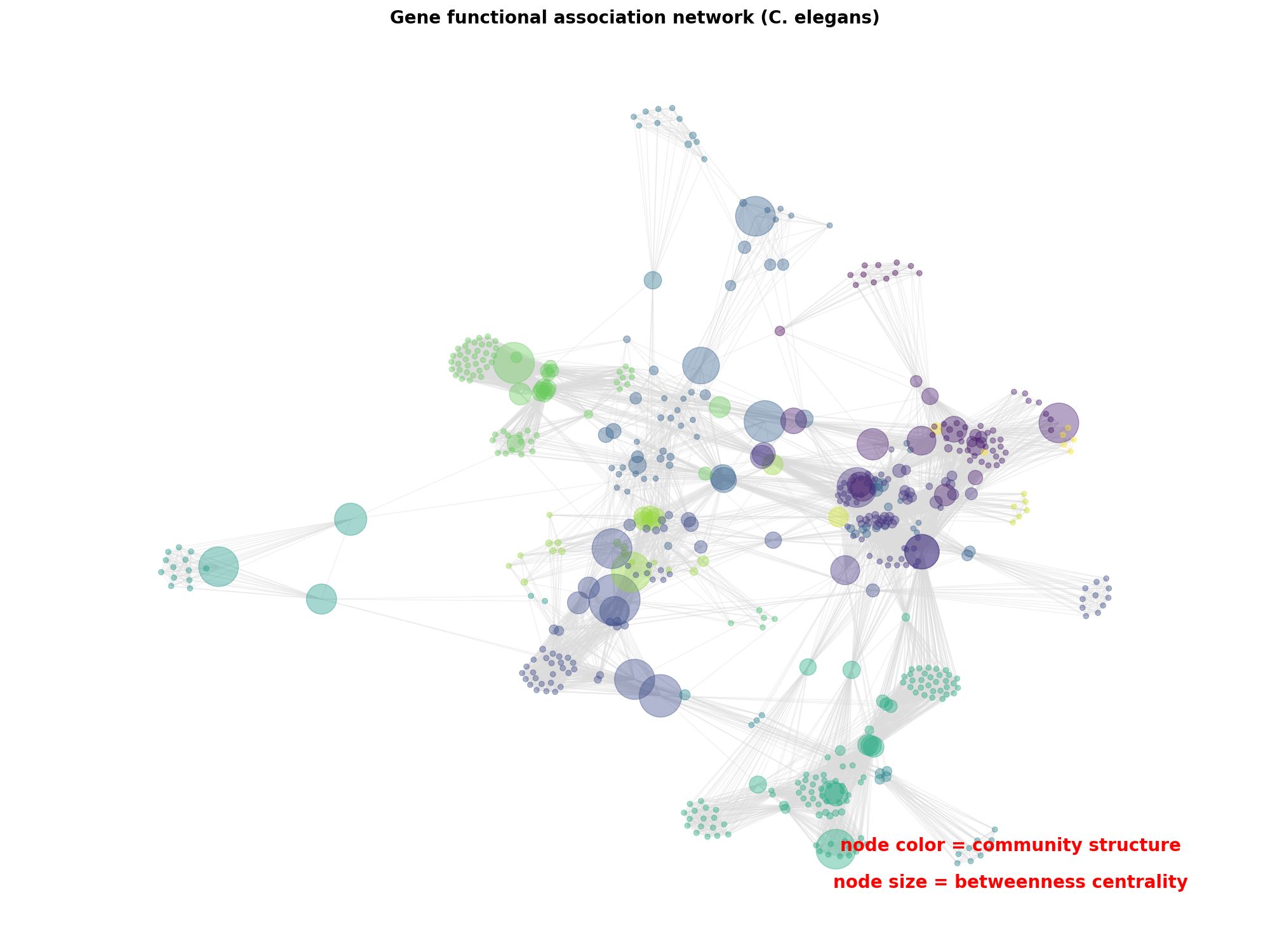 Gene functional association network (C. elegans)