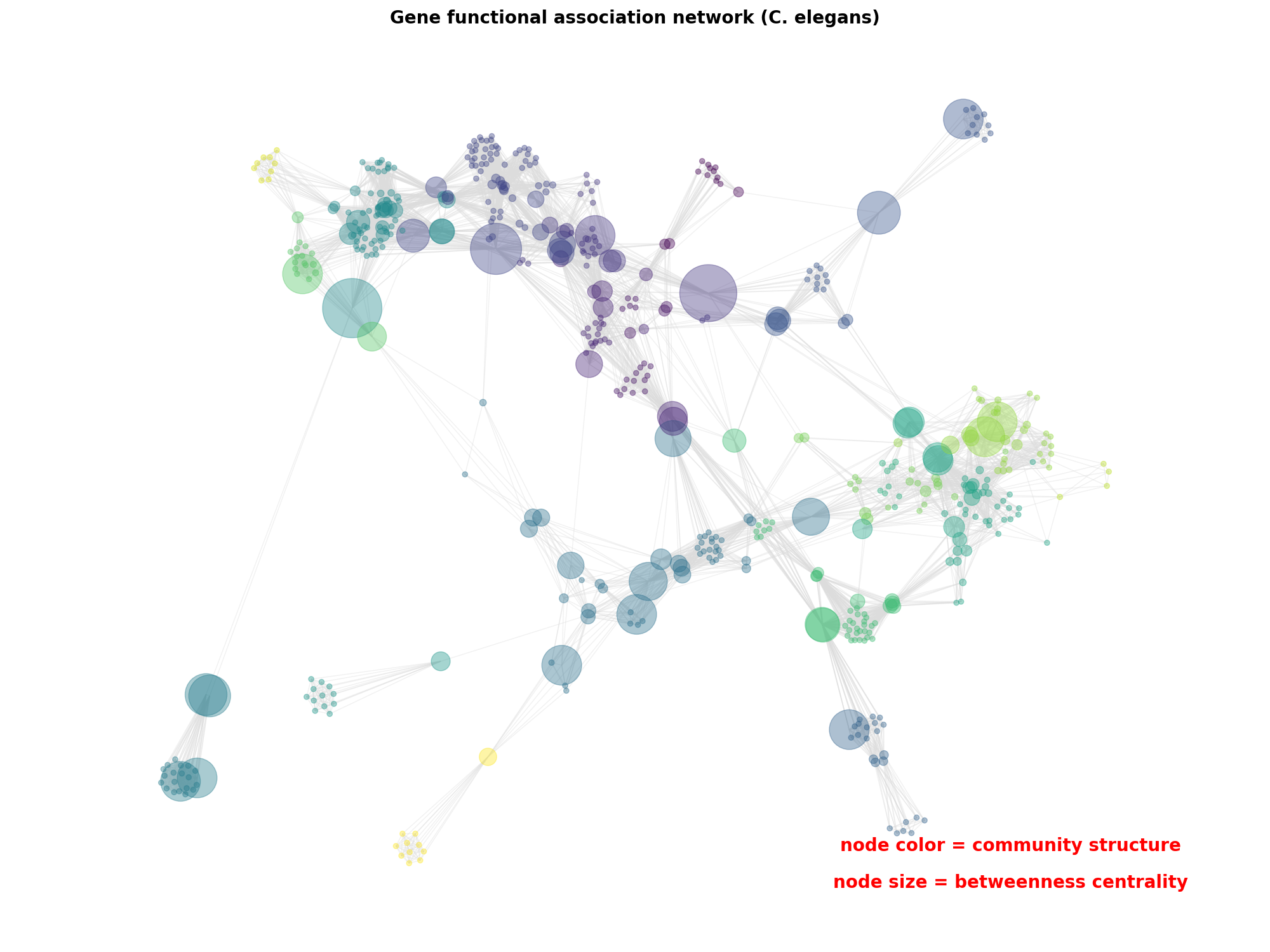 Gene functional association network (C. elegans)
